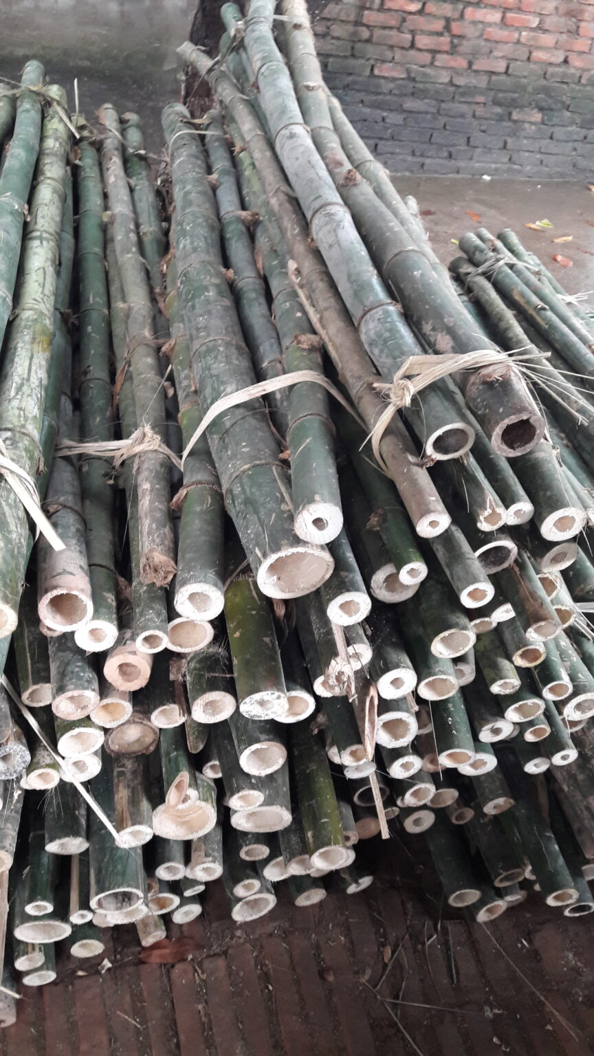 Cọc tre xây dựng - Trenuala.com