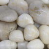 Soi-tu-nhien-mau-trang