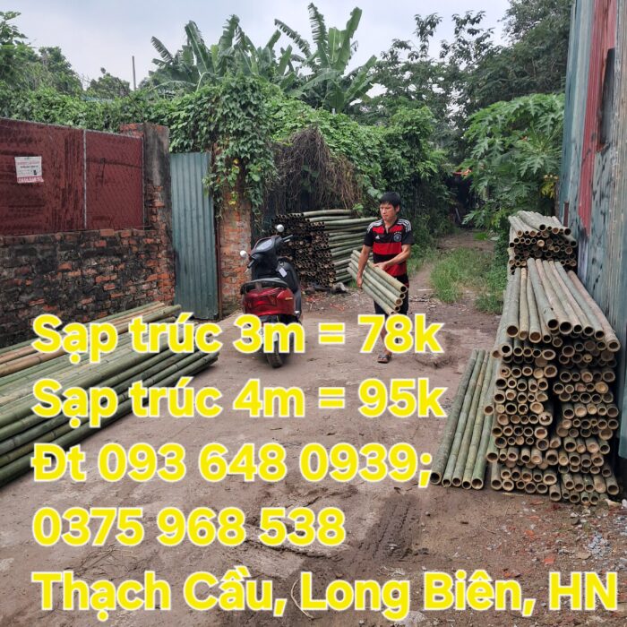 an-sap-tre-be-tre-tai-Ba-Dinh-Hoan-Kiem-HBT-Hoang-Mai-2