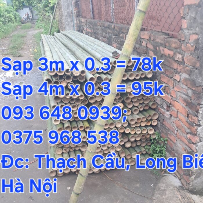 Ban-sap-tre-be-tre-tai-Ba-Dinh-Hoan-Kiem-HBT-Hoang-Mai