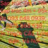 Ban-sap-tre-be-tre-tai-Ba-Dinh-Tay-Ho-Cau-Giay-1