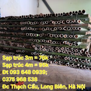 Ban-sap-tre-be-tre-tai-Dong-Da-Thanh-Xuan-Ha-Dong-Bac-Tu-Liem-Nam-Tu-Liem