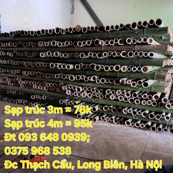 an-sap-tre-be-tre-tai-Ninh-Binh-Thanh-Hoa-Nghe-An-Ha-Tinh-uang-Binh