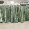 Ban-coc-tre-tai-Ha-Nam-Nam-Dinh-Thai-Binh-2