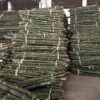 Ban-coc-tre-tai-Hung-Yen-Quang-Ninh-Hai-Phong