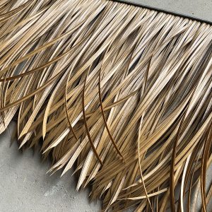 Ban-tam-rom-nhan-tao