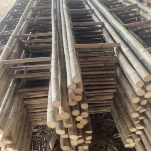 Ban-thang-tre-tai-Thanh-Tri-Hoang-Mai-Hai-Ba-Trung-Hoan-Kiem-Ba-Dinh-Tay-Ho