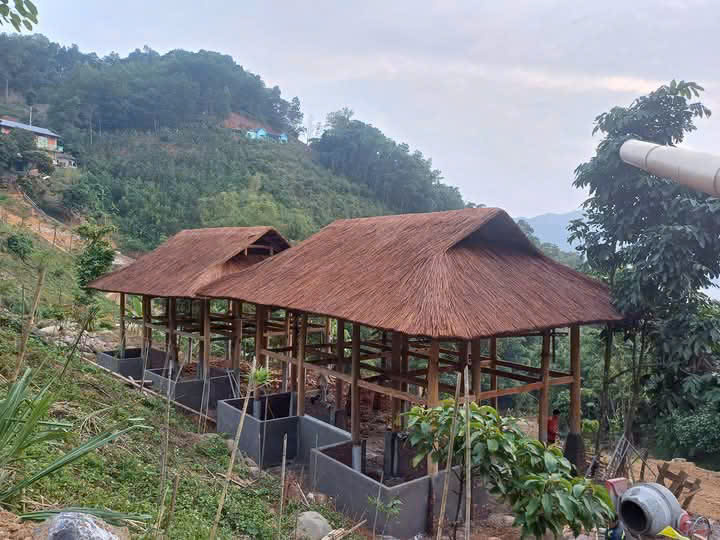 Thi-cong-mai-la-guot-tai-Hung-Yen-Thai-Binh-Nam-Dinh-Ha-Nam-Ninh-Binh-3