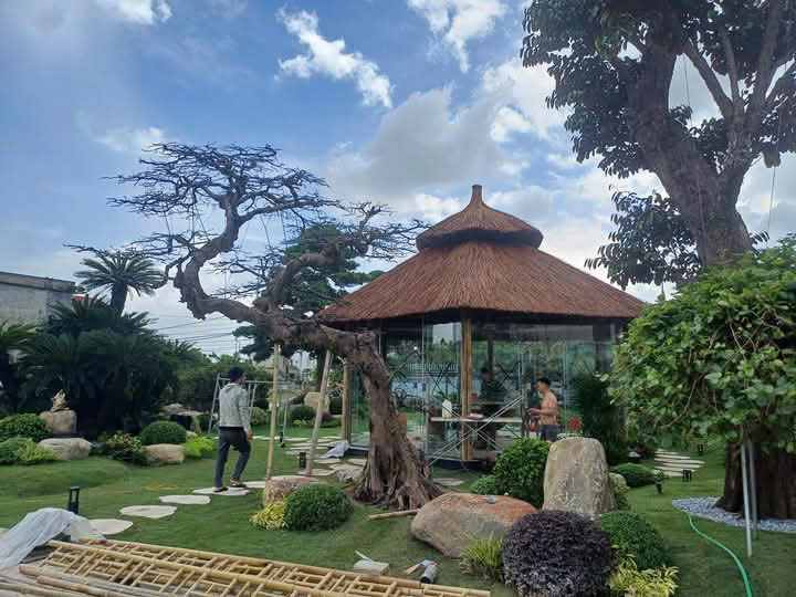 Thi-cong-mai-la-guot-tai-Lang-Son-Bac-Giang-Bac-Ninh-Thai-Nguyen-3