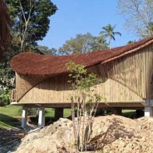 Thi-cong-mai-la-guot-tai-Thanh-Hoa-Nghe-An-Ha-Tinh-Quang-Binh-Quang-Tri-Hue-Da-Nang