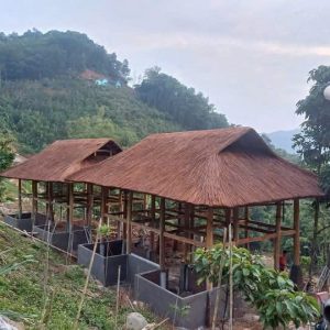 Thi-cong-mai-la-guot-tai-Vinh-Phuc-Phu-Tho-Tuyen-Quang-Yen-Bai-Cao-Bang-2