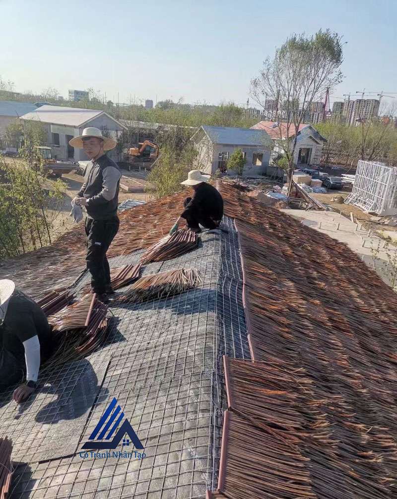 Thi-cong-tam-co-tranh-tre-mai-ton